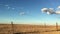 Dog fence near Coober Pedy South Australia Outback