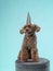 dog in a festive cap. Nova Scotia Duck Tolling Retriever on a blue background.