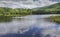 Dog fetching ball swimming in lake