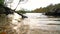 Dog fetching a stick in a lake surrounded by trees in Autumn or Fall