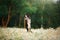 Dog in a field of daisies. Border collie in nature.