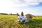 Dog in field portrait, mouth open, looking away