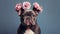 Dog with flowers. Portrait of bull Arab dog with flower crown.