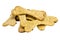 Dog food biscuit shaped like a bones