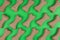 Dog food bones on green background pattern