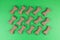 Dog food bones on green background pattern