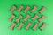 Dog food bones on green background pattern