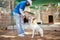 Dog, food and training for animal adoption with professional black worker at shelter for rescue and lost pets. Trainer