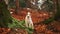 Dog in Forest Setting. A white and tan dog, Jack Russell Terrier, stands on a leaf-covered forest floor