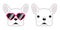 Dog French bulldog vector icon pink sunglasses heart illustration character cartoon white