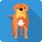 Dog French Mastiff icon flat design