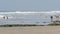 Dog friendly beach. Pets playing near ocean water, sea waves. Playful puppy. Del Mar, California USA