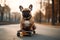 dog funny bulldog skateboarder rides a skateboard in summer on road. Generative AI illustration