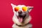 dog funny cute animal smile sunglasses pet goggles portrait  background. Generative AI.