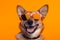 dog funny small sunglasses background pet smile isolated portrait cute animal. Generative AI.