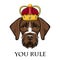 Dog German Shorthaired Pointer portrait. Crown. Dog king. You rule lettering. Cute animal. Vector.