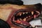 Dog with gingivitis and teeth with tartar