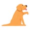 Dog give paw icon cartoon vector. Golden puppy