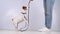 Dog gives a leash to a woman on a white background. Jack Russell Terrier calls the owner for a walk.