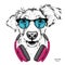 Dog in glasses and headphones. Vector illustration.