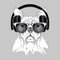 Dog in glasses and headphones. Vector illustration.