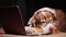 A dog in glasses sleeps near a laptop. Overstrain at work concept