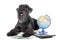 Dog with a globe