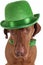 Dog with green hat
