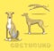 Dog Greyhound Cartoon Vector Illustration