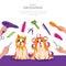 Dog grooming vector cartoon illustration. Pets care concept. Cute shih tzu and yorkshire terrier dogs in groomer salon