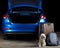 Dog guard luggage next to car