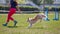 Dog with handler running in agility competition