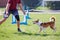 Dog with handler running in agility competition