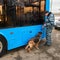 Dog handler with a service dog during a vehicle check for explosive and other dangerous items