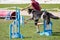 Dog with handler vaulting hurdle in agility trial