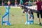 Dog with handler vaulting hurdle in agility trial