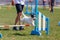 Dog with handler vaulting hurdle in agility trial