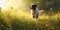 A dog happily bounds through a field, its tail wagging fiercely as it chases butterflies fluttering in the sunlight