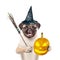 Dog in hat for halloween holding witches broom stick and pumpkin. isolated on white background