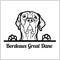 Dog head, Bordeaux Great Dane breed, black and white illustration