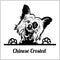 Dog head, Chinese Crested breed, black and white illustration