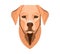 Dog head icon. Cartoon dog face. Vector illustration isolated on white. Doggy heads.