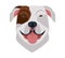 Dog head icon. Cartoon dog face. Vector illustration isolated on white. Doggy heads.