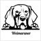 Dog head, Weimaraner breed, black and white illustration