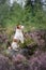 Dog in heather colors. walk with a pet in the forest. Jack Russell Terrier lilac colors