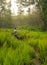 Dog hiking forest with dog