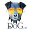 Dog Hipster man, Mr. Dog Terrier in glasses, fashion look animal illustration portrait in polygonal style, isolated on