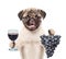 Dog holding a grape and wineglass. isolated on white background