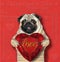 Dog holding a ruby heart