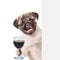 Dog holding a wineglass behind a white and blank banner. isolated on white background